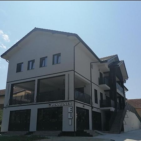 Pensiunea Eli Buziaş Екстериор снимка